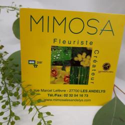 Mimosa