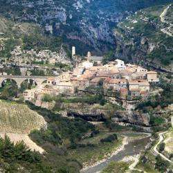 Minerve
