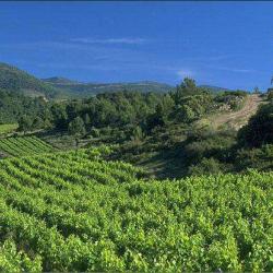 Minervois