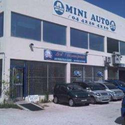 Mini Auto