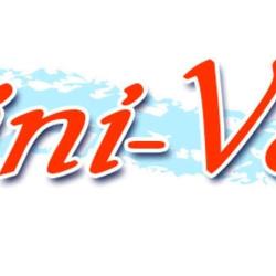 Mini-vague