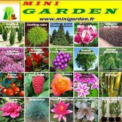 Minigarden