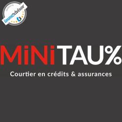 Minitaux