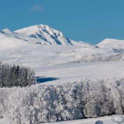 Pavin Skis