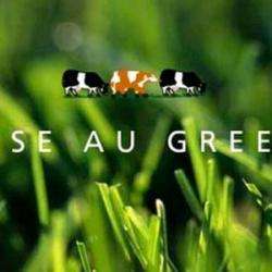 Mise Au Green