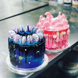 Miss Audrey's Cupcakes