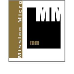 Informatique Et Services - Gpe Mission Micro