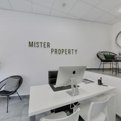 Mister Property