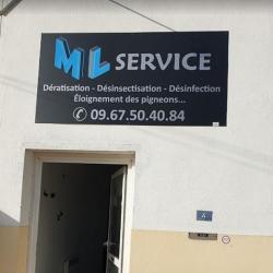 Ml Service