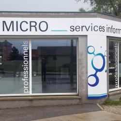 Mmicro