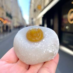 Mochi Mochi Aki