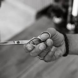 Modern Barber