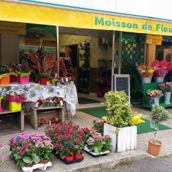 Moisson De Fleurs