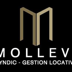 Mollevi