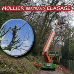 Mollier