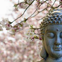 Moment Zen
