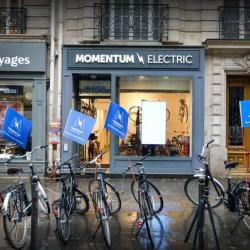 Momentum Electric