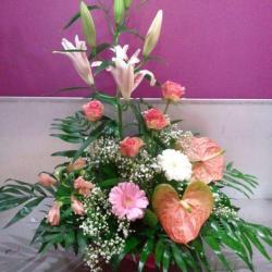Mon Fleuriste