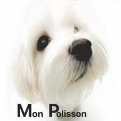 Mon Polisson