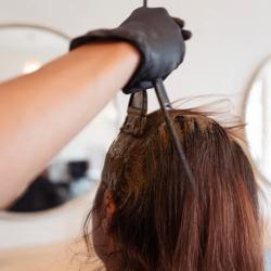 Mon Salon Végétal