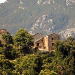 Monacia D'orezza