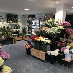 Monceau Fleurs
