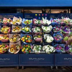 Monceau Fleurs