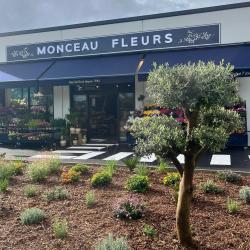 Monceau Fleurs