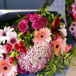 Monceau Fleurs