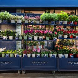 Monceau Fleurs