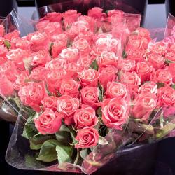 Monceau Fleurs