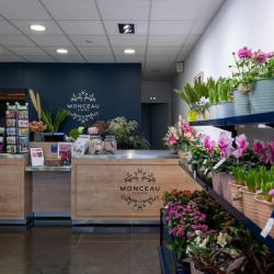 Monceau Fleurs