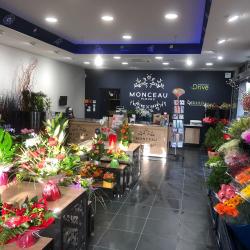 Monceau Fleurs Fds