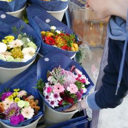 Monceau Fleurs