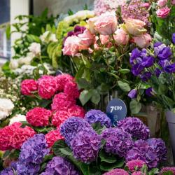 Monceau Fleurs