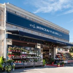 Monceau Fleurs