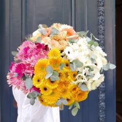 Monceau Fleurs
