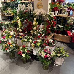 Monceau Fleurs