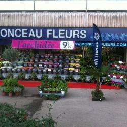 Monceau Fleurs