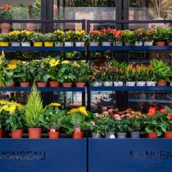 Monceau Fleurs