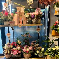 Monceau Fleurs
