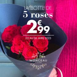 Monceau Fleurs