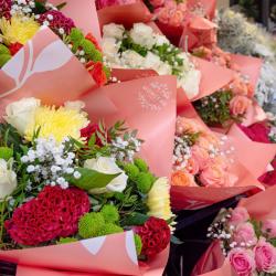 Monceau Fleurs