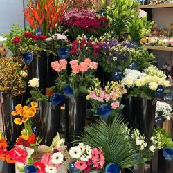 Monceau Fleurs