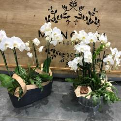 Monceau Fleurs