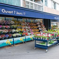 Monceau Fleurs