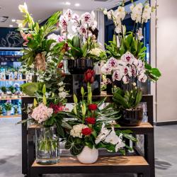 Monceau Fleurs