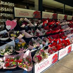 Monceau Fleurs