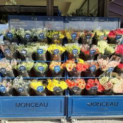 Monceau Fleurs
