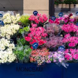 Monceau Fleurs